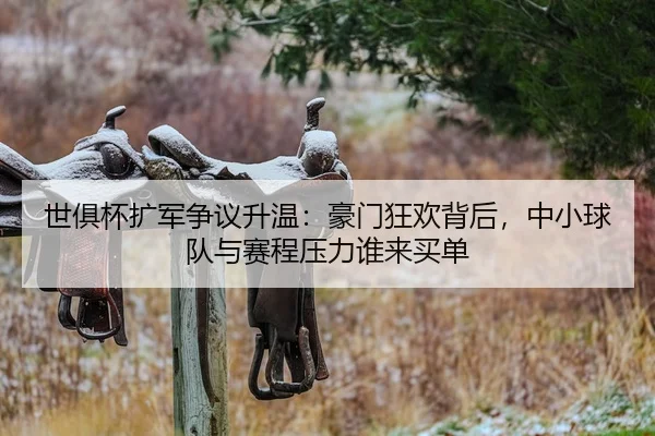 世俱杯扩军争议升温：豪门狂欢背后，中小球队与赛程压力谁来买单