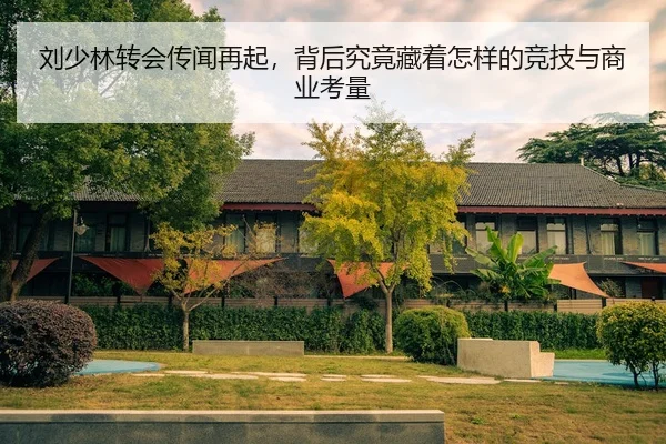 刘少林转会传闻再起，背后究竟藏着怎样的竞技与商业考量